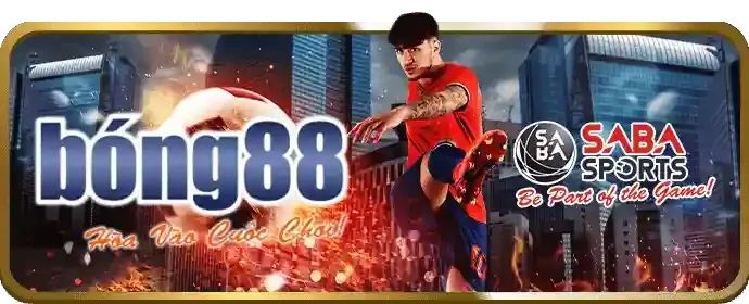 Chương trình hoàn trả thể thao hàng tuần